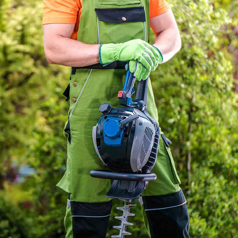 home_4_services https://trophylawns.com.au/wp-content/uploads/2019/08/home_4_services.jpg